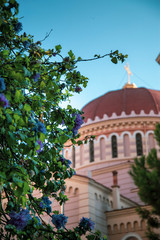 Thessaloniki-Greece, September 17 2019: Close up view flowers and defocused a dome of church view on background
