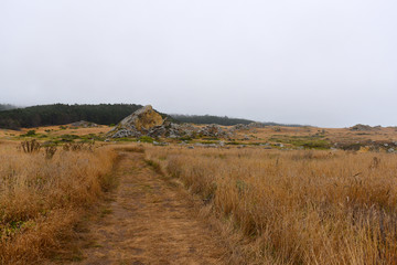 Obraz premium pathway in prairie
