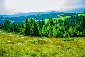 Fototapeta na wymiar Beautiful mountain green landscape on a sunny day