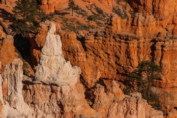 Hoodoo Queen Mary, Bryce Canyon National Park, Utah, USA.