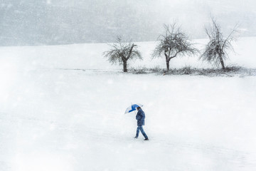 Naklejka na ściany i meble Snowstorm scenery. Man walking through snowfall. Winter weather