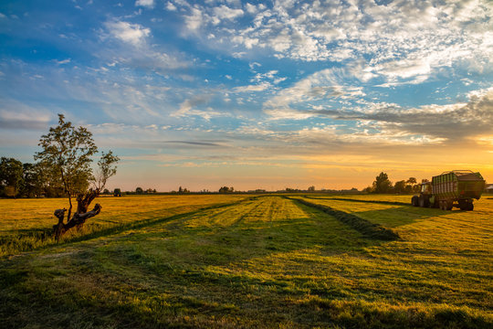 sunsrise on a agrcultural field in the Netherlands landscape photo