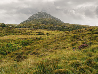 Fields around Diamond hill in Connemara National Park, county Galway, Ireland. Cloudy day.
