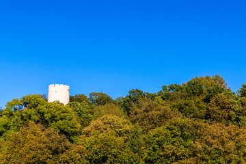 Tower seen from the forest