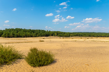 Fototapeta na wymiar Desert in Poland