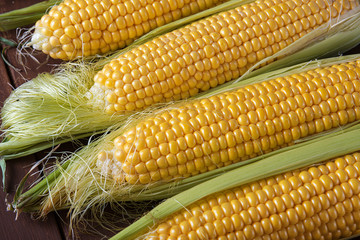 Fresh corn on the cob  on brown wooden table..