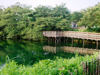 Pond with wooden bridge at the Imaizumi Meisui Sakura Park, Hadano, Kanagawa, Japan. The pond is filled with the underground spring water. Cherry blossom trees are planted around the pond.