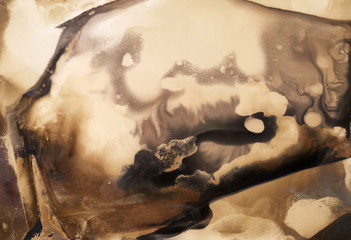 Silver gelatin photo paper exposed