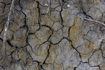 cracked earth