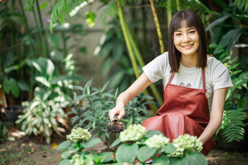 Asian girl hobby planting trees in the garden