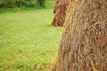 Closeup of straw haystacks on green field, blurred trees in background, falling rain visible