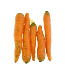 carrots on a white background 