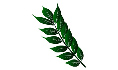 green vector isolated leaf