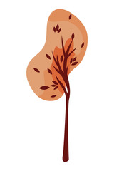 autumn tree plant seasonal isolated icon