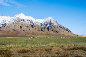 Kalfafellsdalur valley in South Iceland