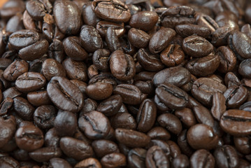 coffee beans on dark background