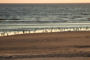 costa da caparica