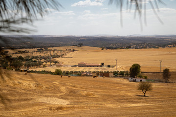villanueva del fresno