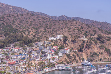 Naklejka premium Catalina 78