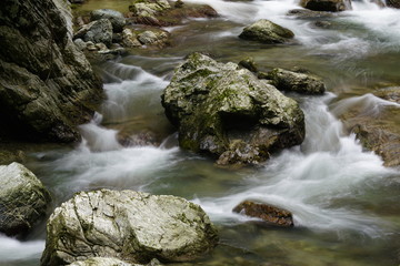 Fototapeta premium 清流の流れ