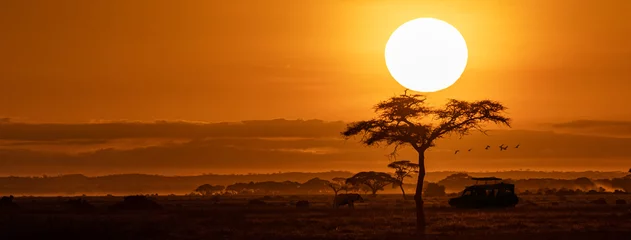 Fototapete Fotos Orangefarbenes horizontales Web-Banner für Safari-Fahrzeuge bei Sonnenuntergang