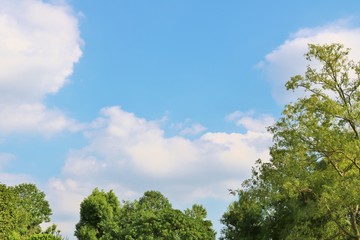 風景　空　緑　秋　杤木　日本