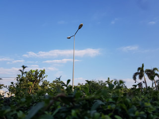 lamp on background of blue sky