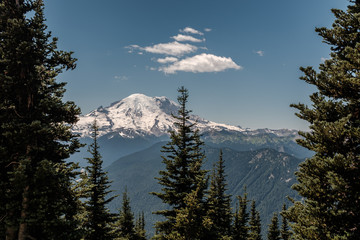 Mt. Rainier - Washington