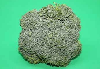 View of a Broccoli Top on Green screen background