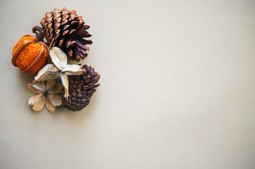 Fototapeta na wymiar Simple flat lay autumn composition with pinecones, dried flowers and mini pumpkin decoration with copy space for bloggers, magazines and social media