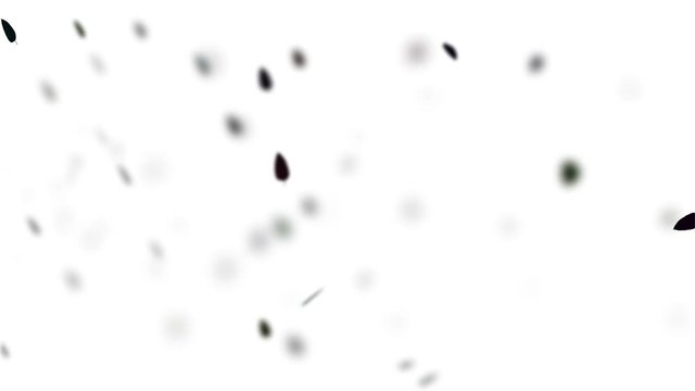 Dry leaves blown by the wind with blurred vision effect on white background. Unfocused autumn leaves flying. Great for intro, logo and title revealer. Abstract animation.