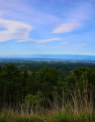 高台からの風景