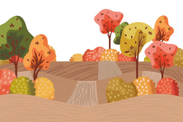 autumn trees plants in the camp seasonal scene