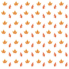 autumn leafs plants seasonal pattern