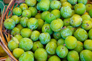 Basket of green gage plums (reine claude) at a farmers market