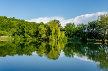 Fototapeta premium A lake in the mountains surrounded by green trees in summer.