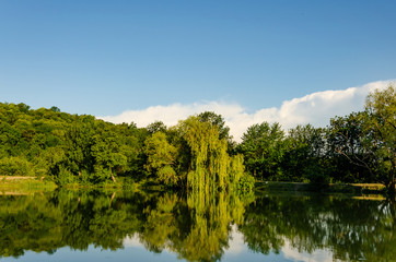 In summer, the lake is surrounded by green trees.