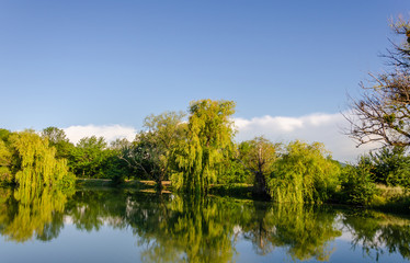 In summer, the lake is surrounded by green trees.