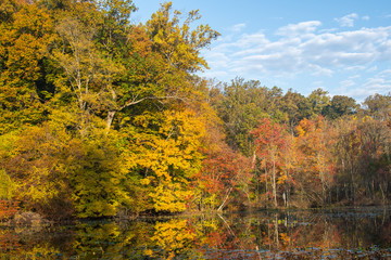 autumn in the park