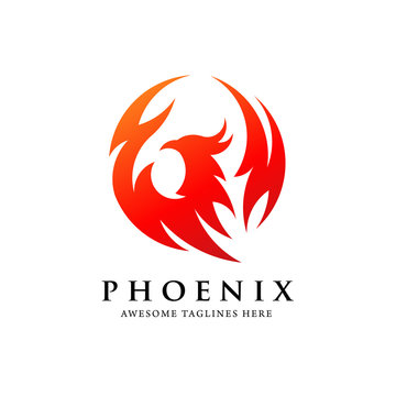 creative simple phoenix bird circle logo concept, best phoenix bird logo design
