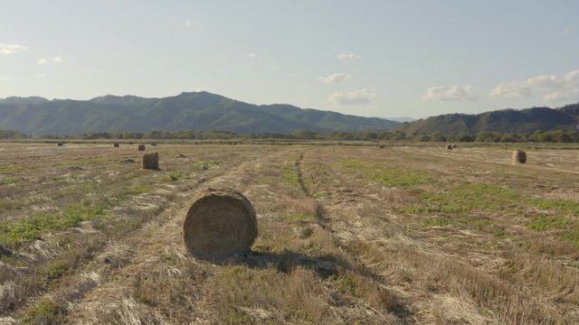 Slow pivot aerial shot of haystacks in the countryside field with mountain ridge in the background on a bright, clear, sunny day. Russia, Far East