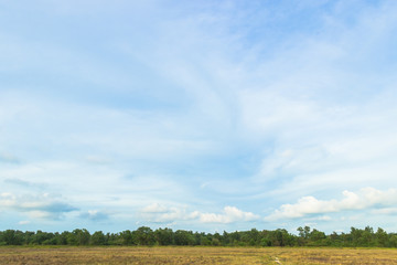 Obraz premium landscape with blue sky and clouds over field