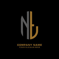 NT minimalist letters, with gray and gold, white, black background logos