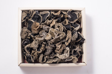 black tree fungus. wood ear mushroom