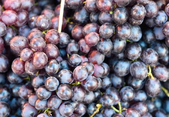 bunch of red grapes
