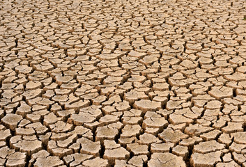 arid cracked earth