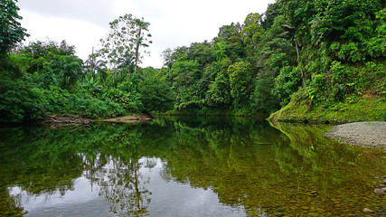 Fototapeta premium RIO