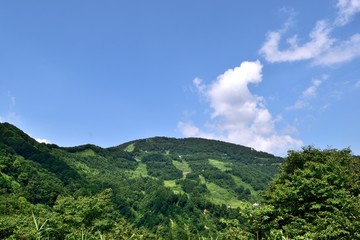 Fototapeta na wymiar 夏の湯沢高原 大峰山