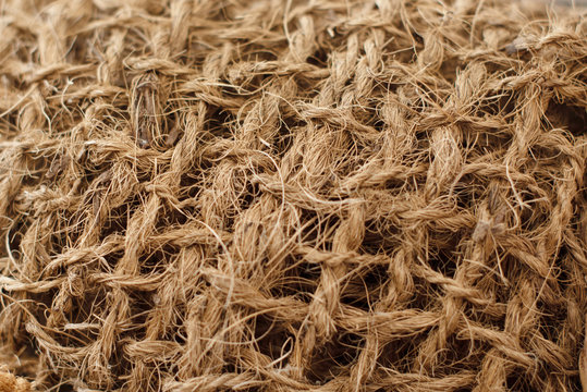 Sisalgras Bilder Durchsuchen 758 Archivfotos, und