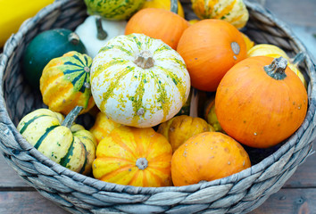 basket with decorative pumpkins. autumn and harvest concept. 